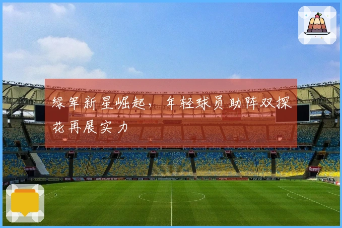 绿军新星崛起，年轻球员助阵双探花再展实力