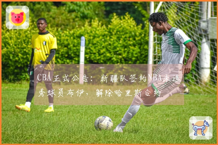 CBA正式公告：新疆队签约NBA未选秀球员布伊，解除哈里斯合约