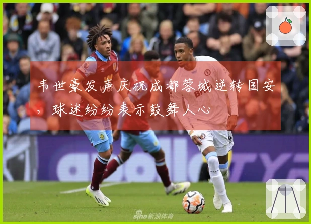 韦世豪发声庆祝成都蓉城逆转国安，球迷纷纷表示鼓舞人心